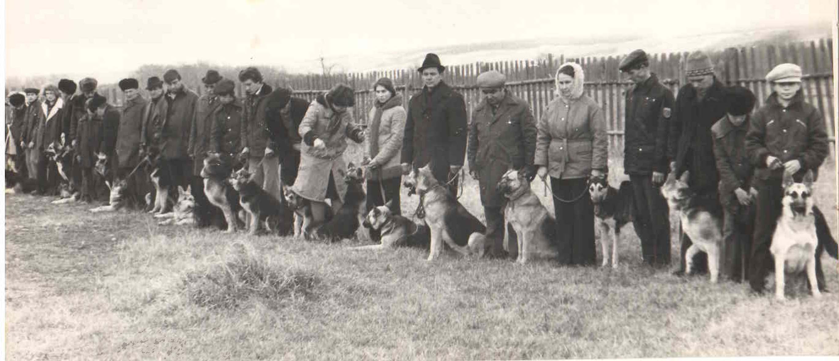 Открытие выводки племенных собак. 1975 год.