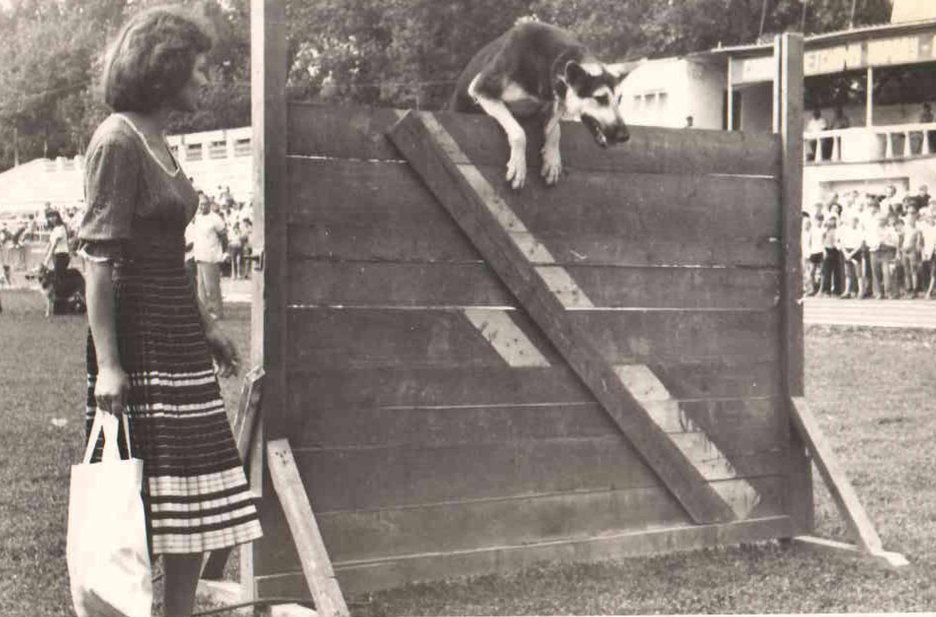Показательные выступления на выставке служебных собак. 1980 г.