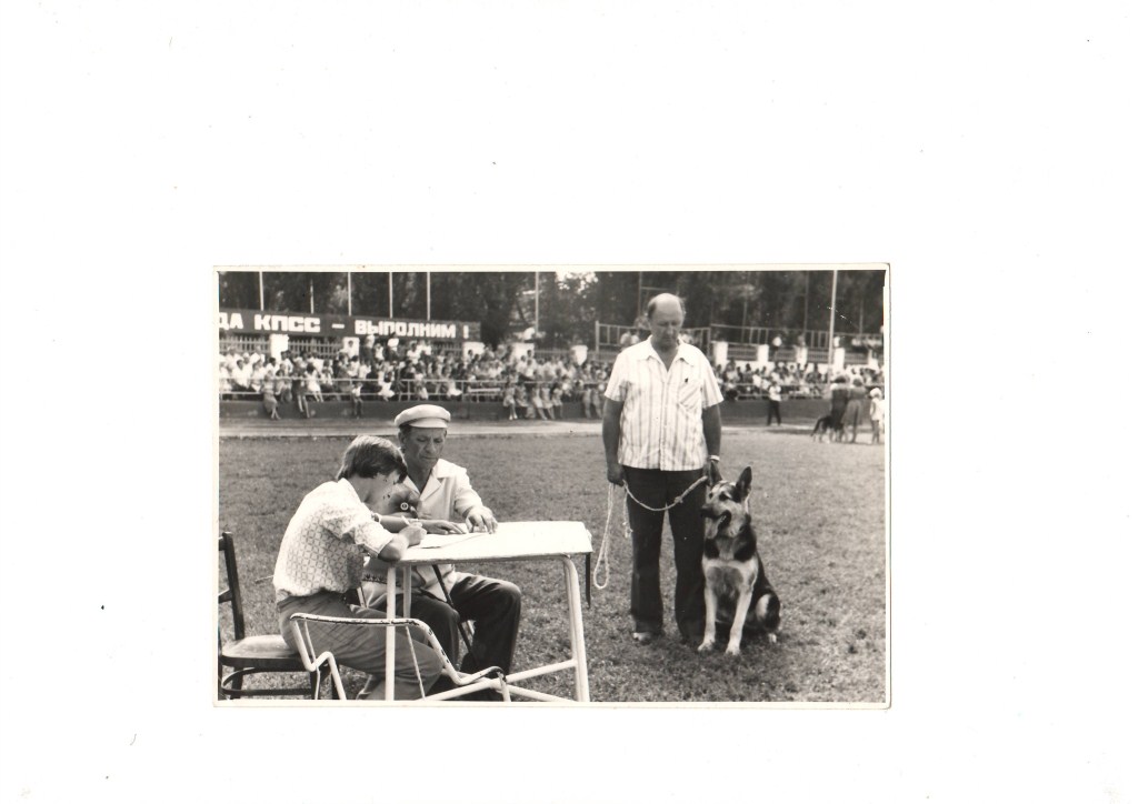 Во время экспертизы. Судья в ринге Грушецкий В.М. Городская выставка 1977 год.