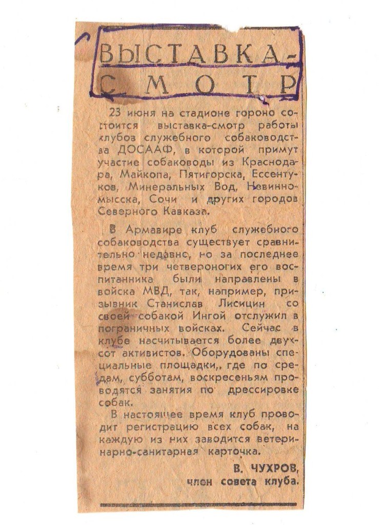 Заметка в городской газете Советский Армавир о выставке собак в 1974 году